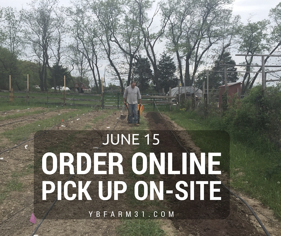 ORDER ONLINE X PICK UP ON-SITE